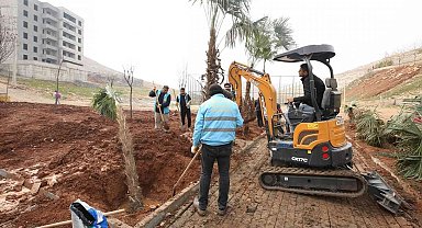 Kito deresinde ağaçlandırma devam ediyor