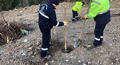 Kocaeli Büyükşehir bir yılda 124 bin 779 fidanı toprakla buluşturdu