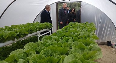 Köy Yaşam Merkezi'ndeki seralarda minik ellerle umutlar yeşeriyor