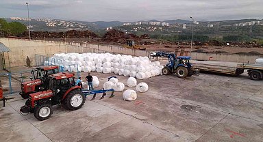 Küçükbaş hayvan üreticilerine ücretsiz silaj dağıtılacak