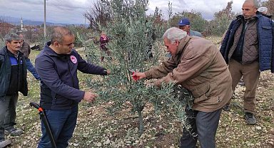 Kurum müdürü vatandaşlara ağaç budamasını öğretiyor