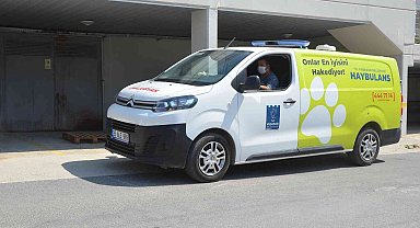 Kuşadası'nda 2022 yılında 4 bin 308 hayvana ev sahipliği yapıldı