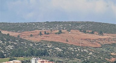 Kuşadası'nda kamu arazisi operasyonunda 4 tutuklama