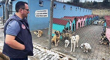 Lapseki'de hayvan barınağındaki sokak hayvanlarına kuduz aşısı yapıldı