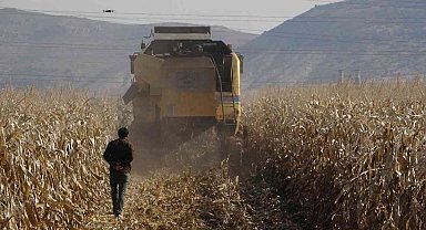 Mardin'de kuraklık rekolteyi yüzde 50 oranında düşürebilir