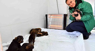 Mersin'de bin 100 patili dosta sıcak yuva sağlandı