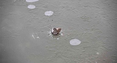 Meteorolojiden buzlanma ve don uyarısı