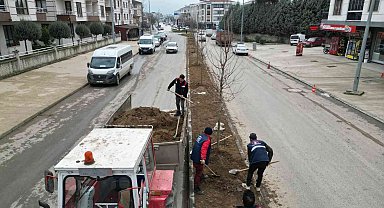 Milyonlarca çiçek diktiler