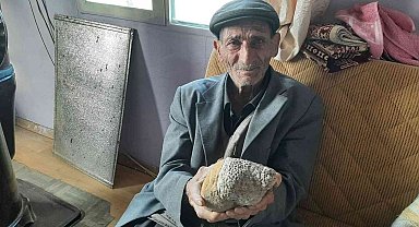 Milyonlarca yıllık arı peteği fosili buldu