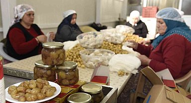 Nazilli'nin kestane şekeri, 10 bin kilometre ötede damakları lezzetlendiriyor