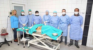 Nilüfer'de sahipsiz can dostlar kısırlaştırılıyor