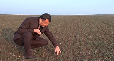 Ocak ayında arpa ve buğday tarlaları yeşillendi