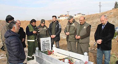 Orman Bölge Müdürlüğü, kimsesizler mezarlığına gömülen kızın mezarına ağaç dikti