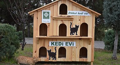 Osmaniye Belediyesinin kedi evleri "can dostlara" yuva oldu