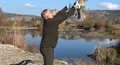 Osmaniye'de tedavisi tamamlanan şahin doğaya salındı