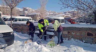 Özalp'ta kar yağışı