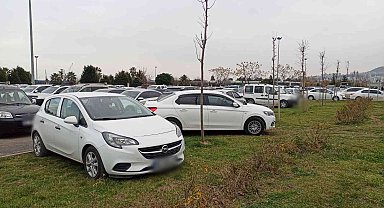 Parkta sınır tanımadılar