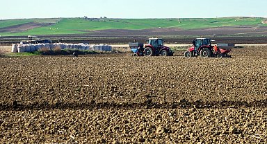 Patates tohumları toprakla buluşuyor