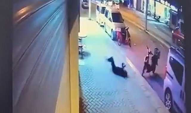 Pencereden düşerek hayatını kaybeden kadının sevgilisinin ifadeleri ortaya çıktı