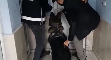 Polis kaçakçılara göz açtırmıyor