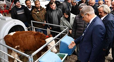"Etçi ve Kombine Irkların Yaygınlaştırılması" Projesi genişliyor