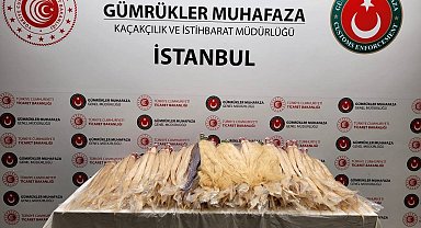 Sabiha Gökçen Havalimanı'nda 4 valiz dolusu gerçek insan saçı ele geçirildi