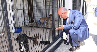 Salihli'deki rehabilitasyon merkezi "Can dostlara" şifa dağıtıyor