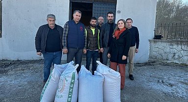 Samsun'da 'çok yıllık yem bitkileri örnek ekim tarlaları' kurulacak