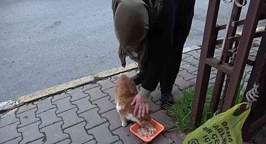 Sancaktepe'de fakir aylığı ile geçiniyor, mahallenin kedilerini de unutmuyor