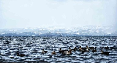 Sapanca Gölü için rahatlatan açıklama