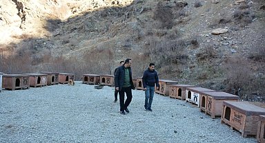 Şemdinli Belediyesi sokak hayvanları için barınak yaptı