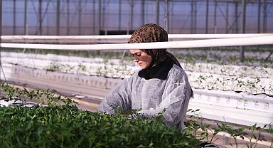 Seracılık Mükemmeliyet Merkezi'nde 2023'ün ilk fideleri dikildi