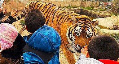 Sevgi evlerinde kalan çocuklar ara tatilde doyasıya eğlendi