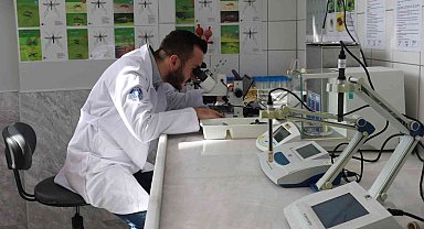 Sinekle mücadele laboratuvara taşındı