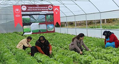 Şırnaklı 14 kadın devlet desteğiyle sera sahibi oldu