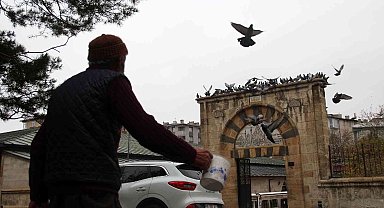 Sivas'taki 8 asırlık kuş vakfiyesinin dünyada başka bir benzeri bulunmuyor