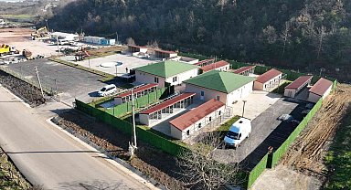 Sokak Hayvanları Rehabilitasyon Merkezi'nde sona doğru