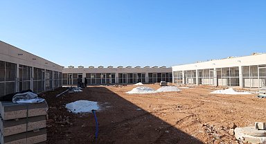 Sokak hayvanları sıcak yuvalarına kavuşuyor