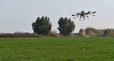 Söke Belediyesinin buğday arazisi dron ile gübrelendi