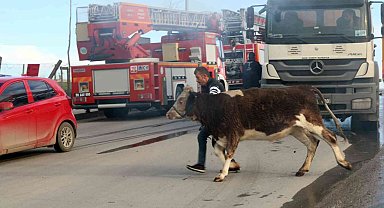 Tekirdağ korkutan yangın