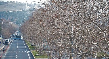 Tekirdağ'a kıştan önce bahar havası geldi