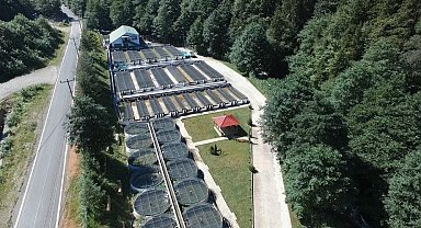 Trabzon'da 2022 yılında 2 milyon 100 bin adet yavru doğal alabalık üretimi yapıldı