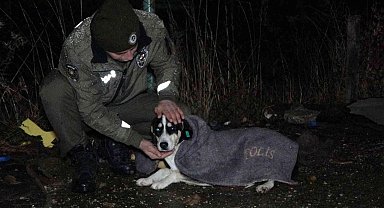 Uşak polisi yağmurlu havada sokak canlılarını unutmadı