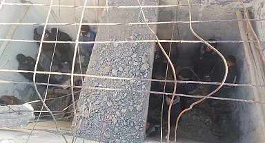 Van'da kullanılmayan su deposunda yabancı uyruklu 24 şahıs yakalandı