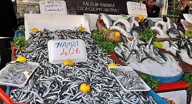 Vatandaşlar fiyatı düşen hamsiye yöneldi