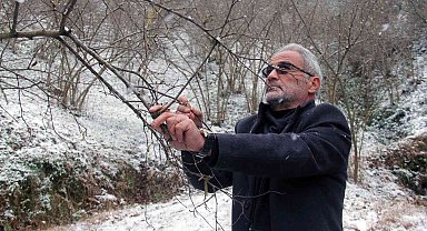 Yağan kar fındık üreticilerini sevindirdi