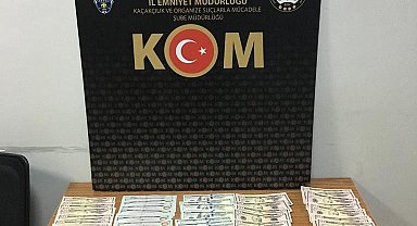 Yalova'da dövizcide sahte dolar bozdurmak isteyen şüpheli tutuklandı