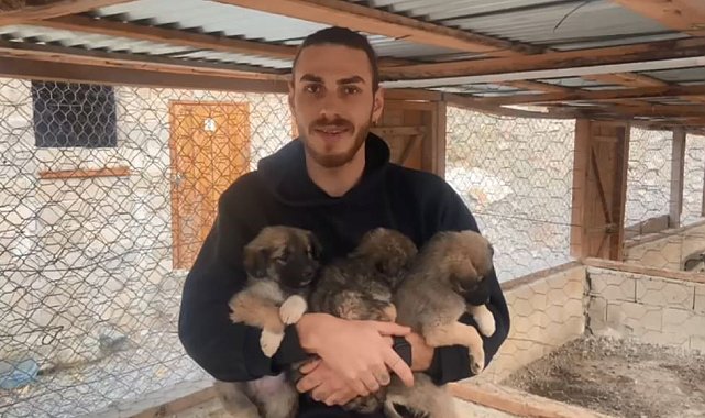 Yıkılan beton bloklarda mahsur kalan yavru köpekler, iş makinesi yardımıyla kurtarıldı
