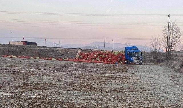 Yoldan çıkan tırın dorsesindeki soğan çuvalları tarlaya saçıldı: 1 yaralı