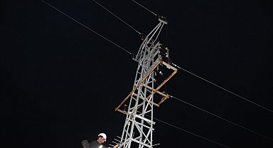 Yüksek gerilim hattına kapılan şahin 9 köyün elektriğini kesti